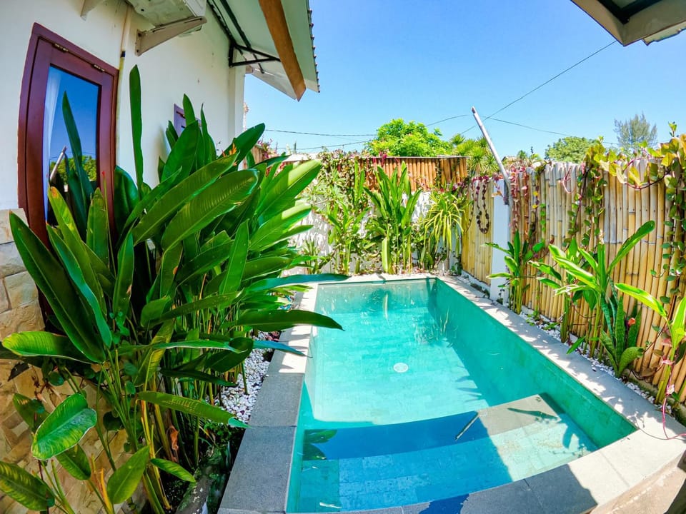 Garden, Garden view, Pool view, Swimming pool