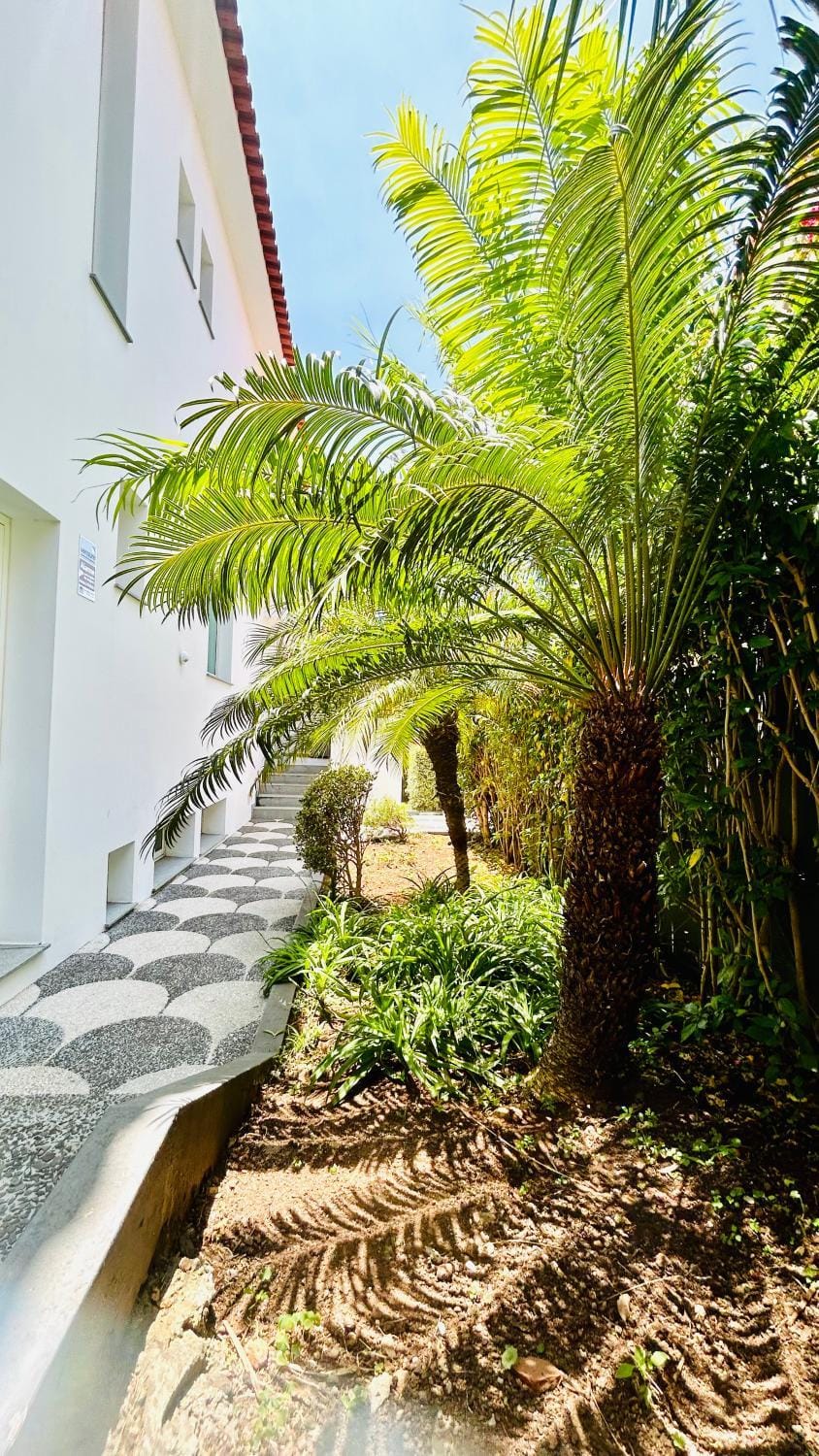 Property building, Garden, Garden view