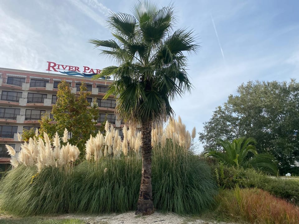 River Park Studio Apartment in Sunny Beach