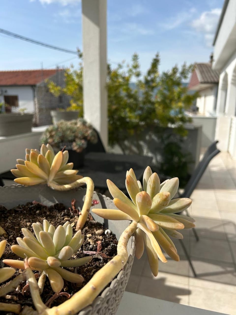 Day, Garden, Balcony/Terrace, Garden view