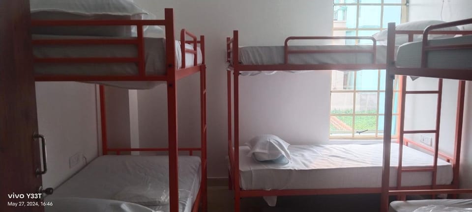 bunk bed