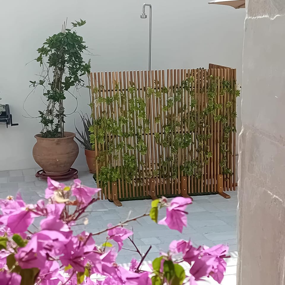 Patio, Spa and wellness centre/facilities