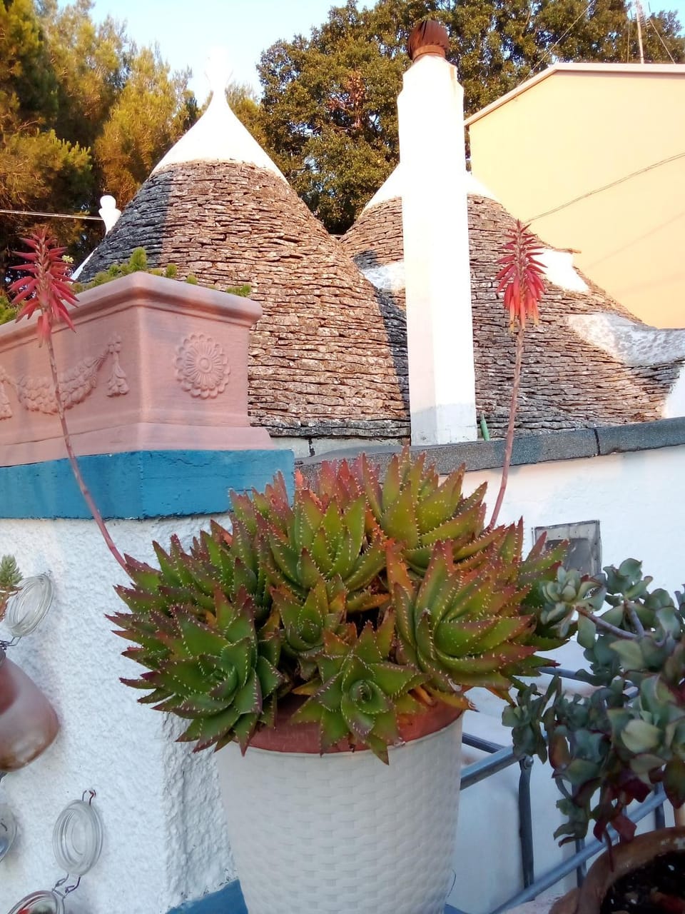 Patio, Patio, View (from property/room)