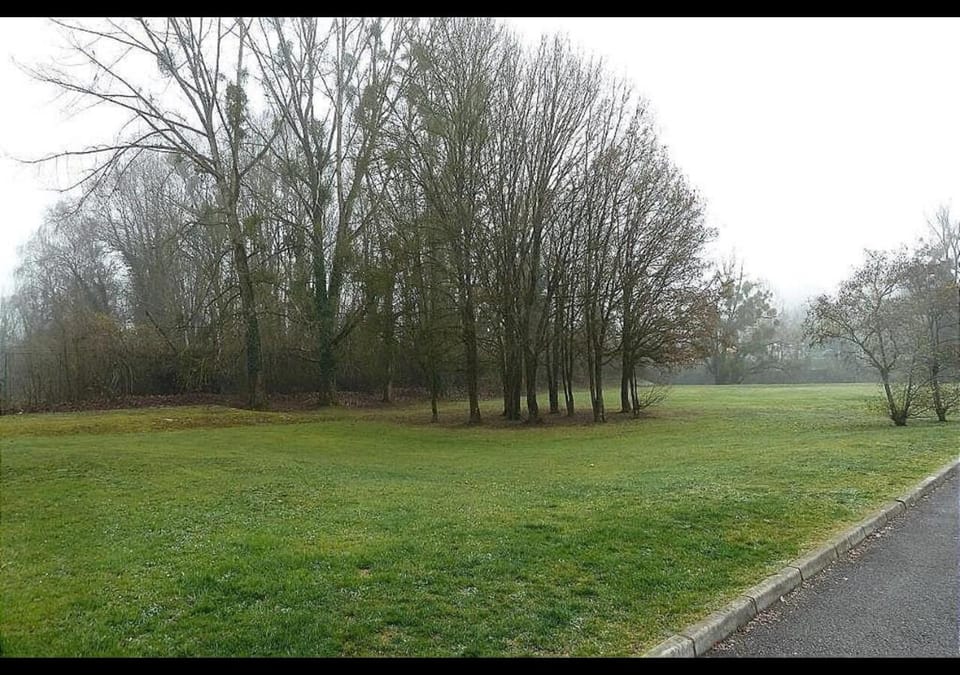 Spring, Day, Natural landscape, Garden view
