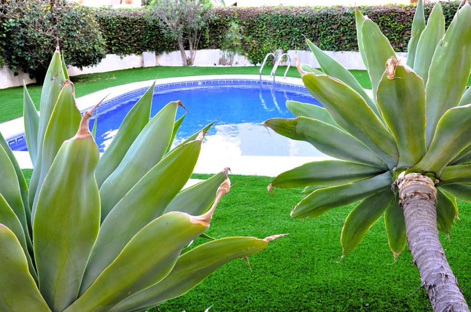 Garden, Swimming pool