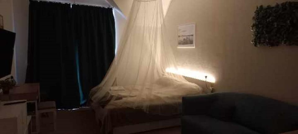 Bed, Living room, Photo of the whole room, Seating area, Bedroom