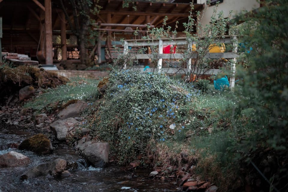 Natural landscape, Garden