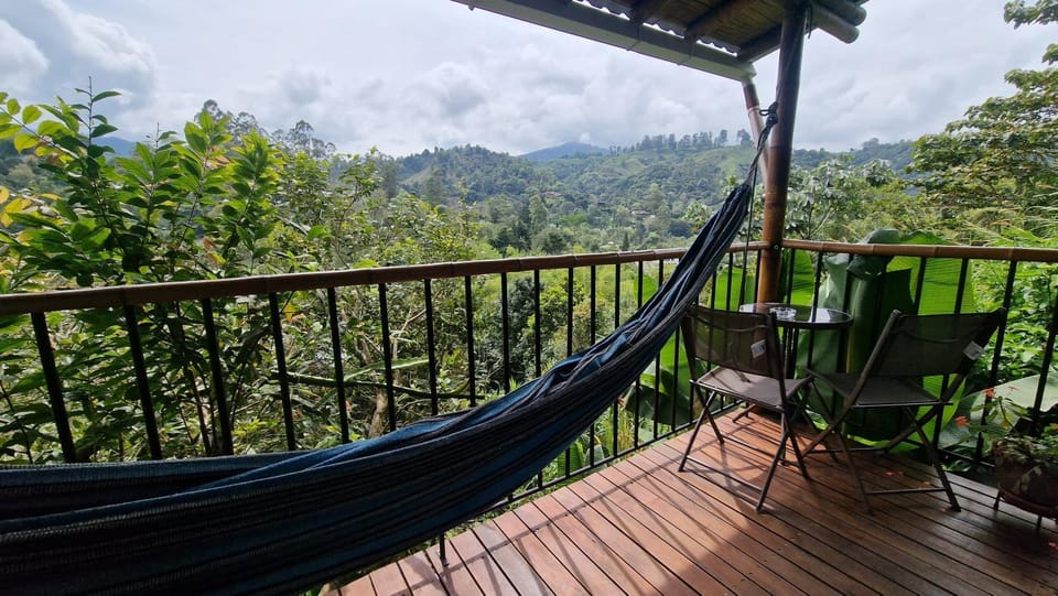 View (from property/room)