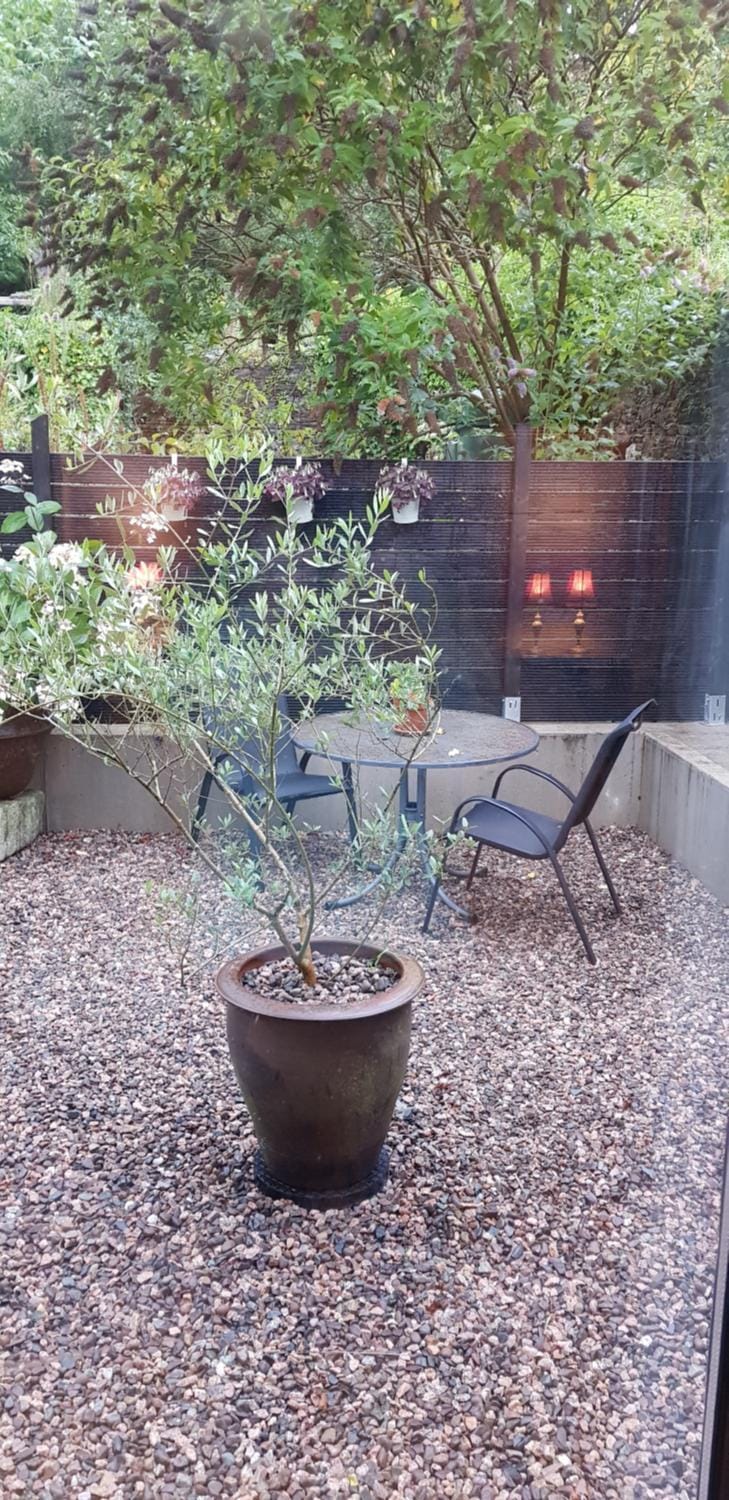 Patio, Garden view