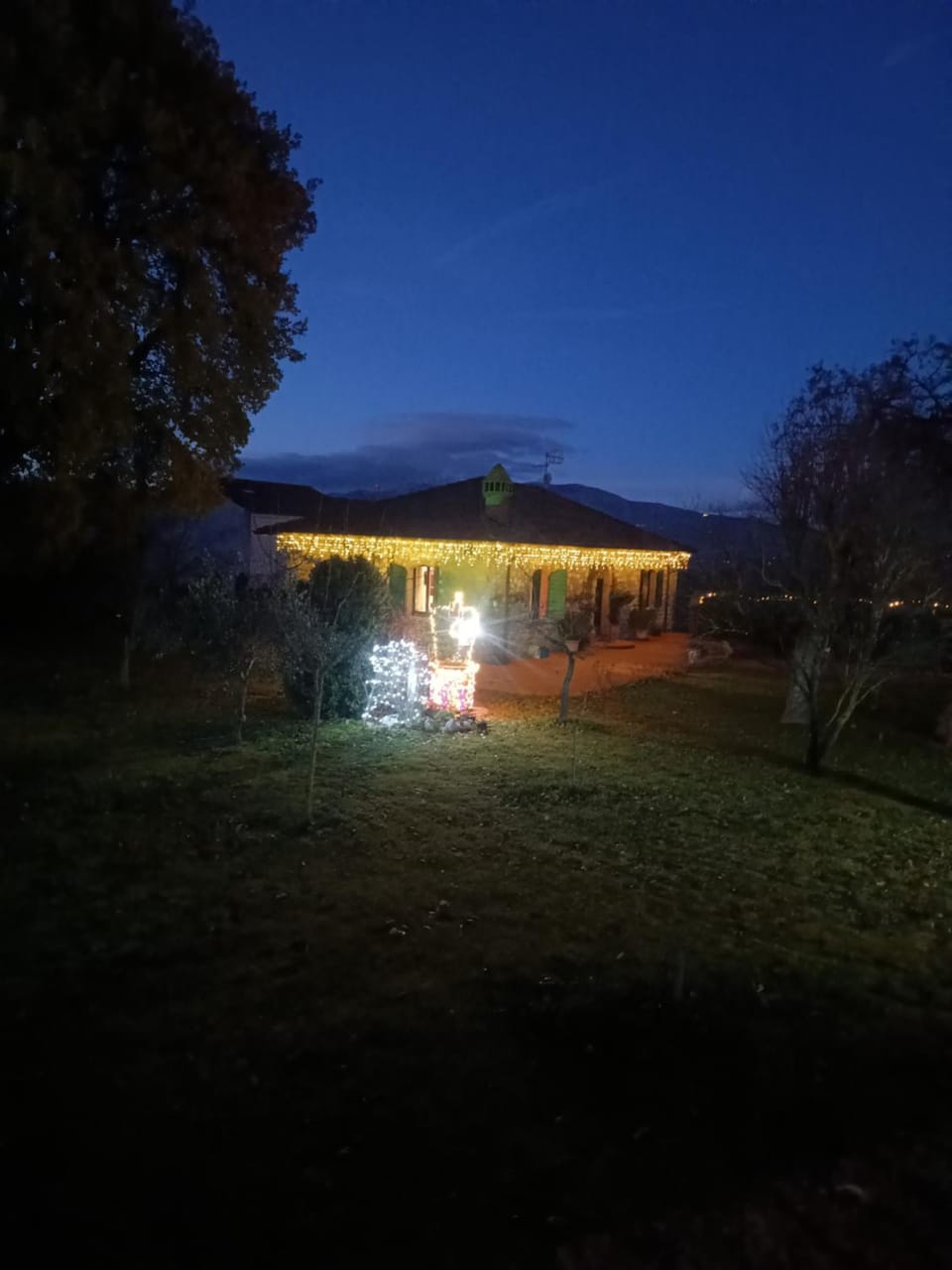 Night, Garden