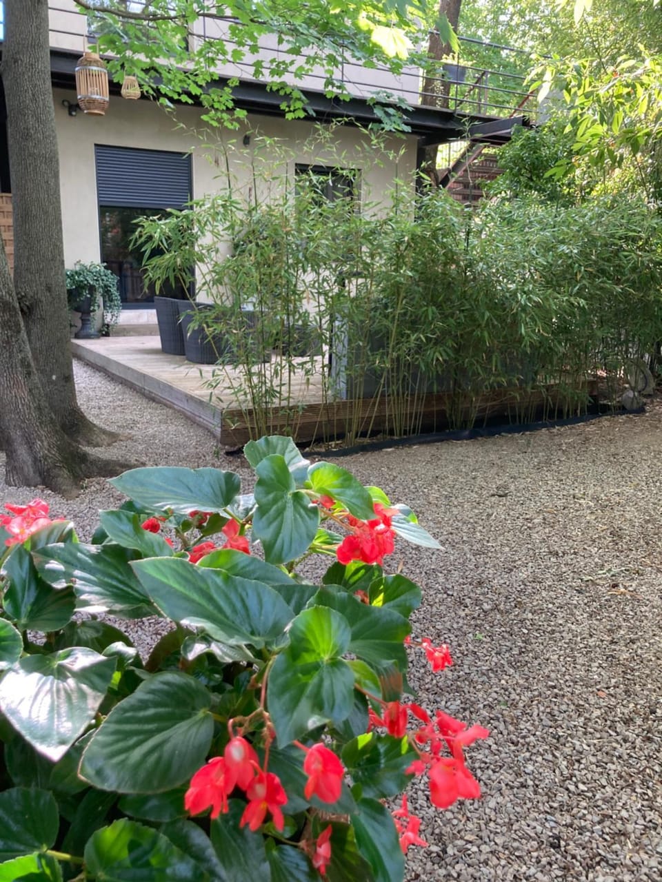 La chambre du parc Bed and Breakfast in Occitanie