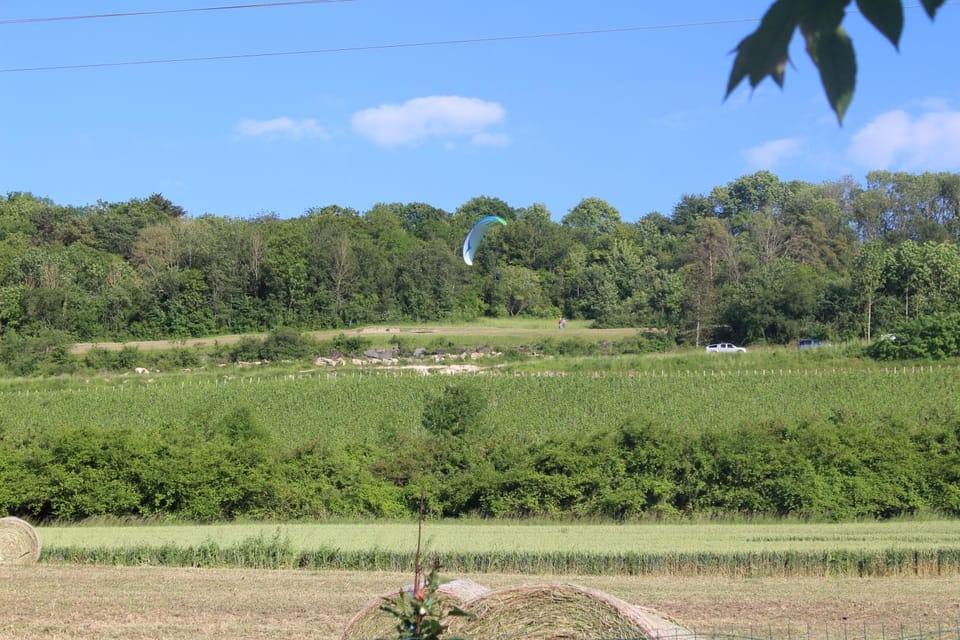 View (from property/room)