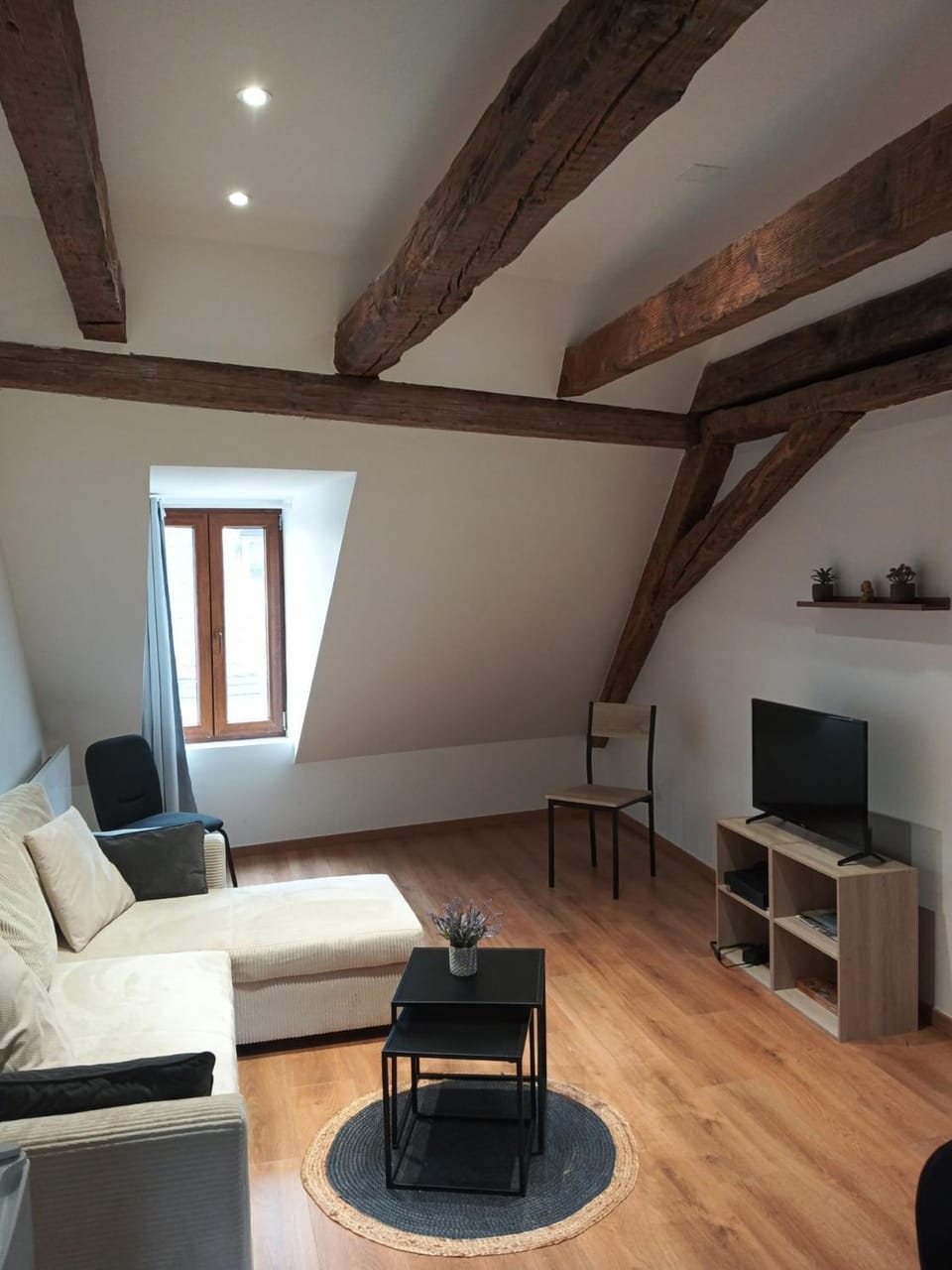 Séjour au port de Saverne Apartment in Grand Est