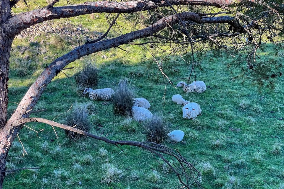 Patio, Landmark view