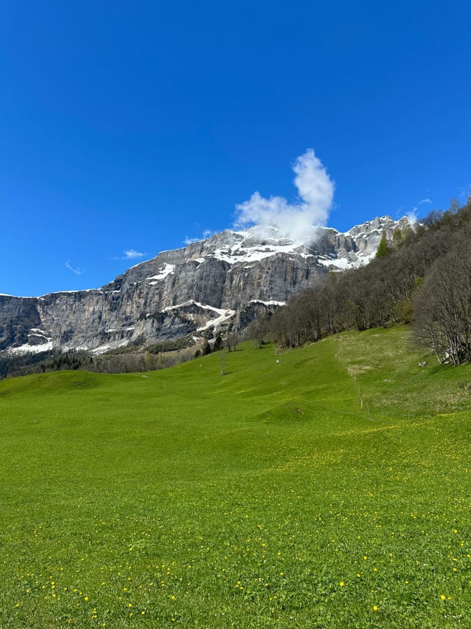 Spring, Natural landscape, Mountain view