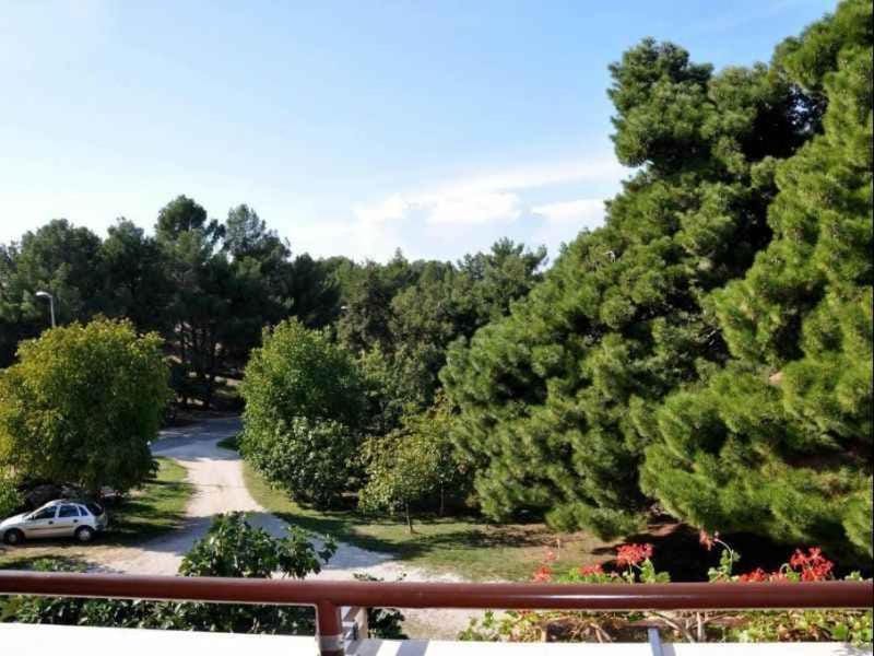 Summer, Garden, Balcony/Terrace