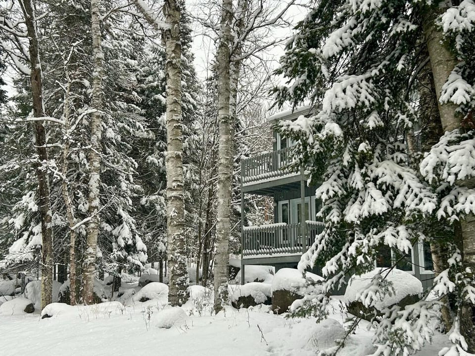 Day, Natural landscape, Winter