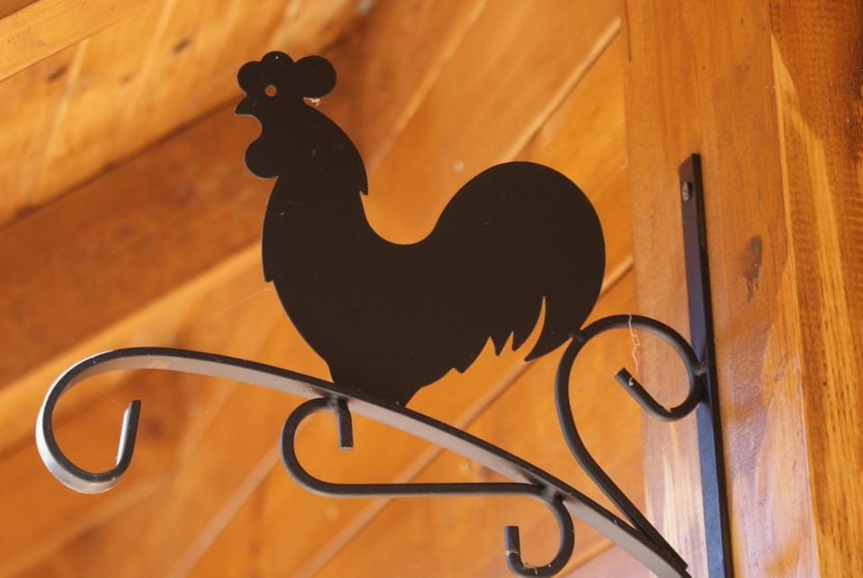 Seosko domaćinstvo Đed Radoš Country House in Montenegro