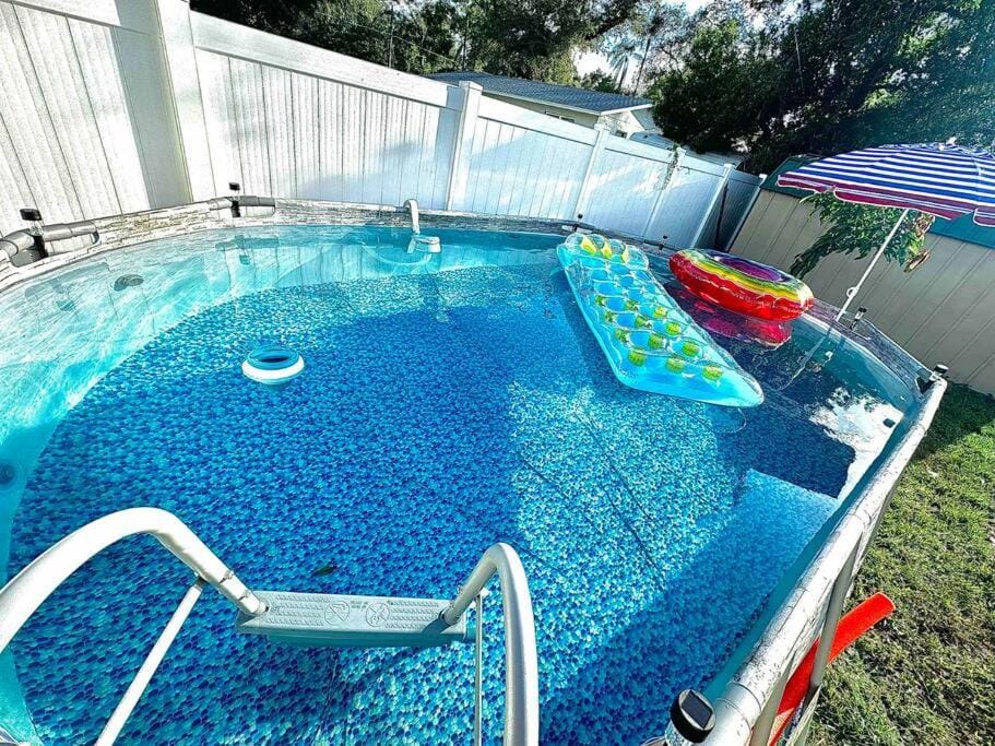 Modern cozy with pool and big backyard House in Citrus Park