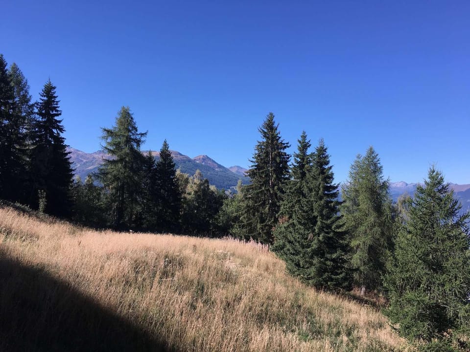 Studio lumineux prox. centre, balcon, Les Arcs 1800 - FR-1-346-573 Apartment in Landry