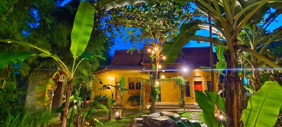 Property building, Night, Garden