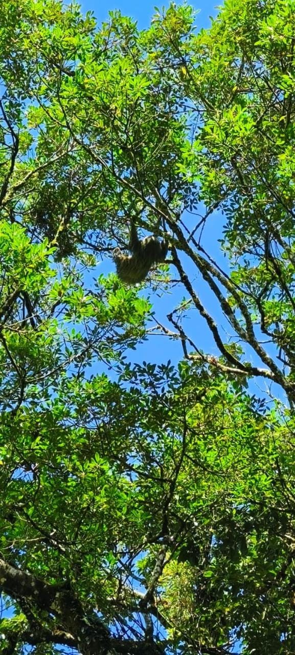 Tipi Bribri Nature lodge in Heredia Province