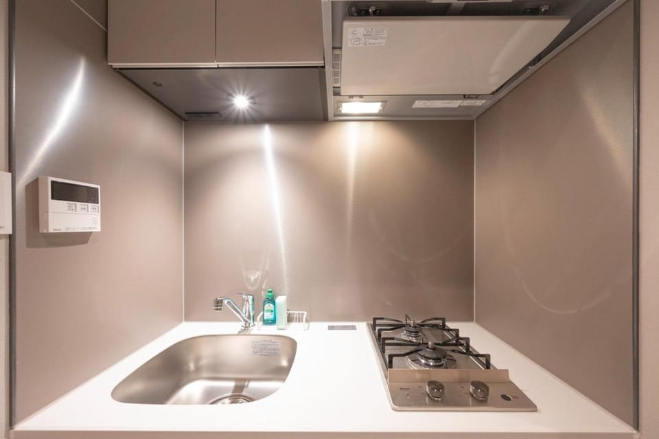 Kitchen or kitchenette, stove