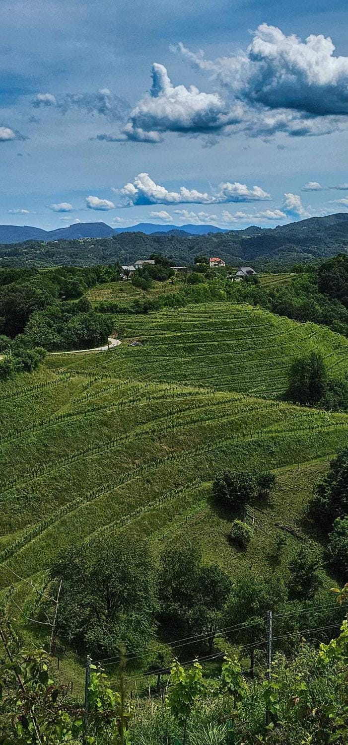 Natural landscape