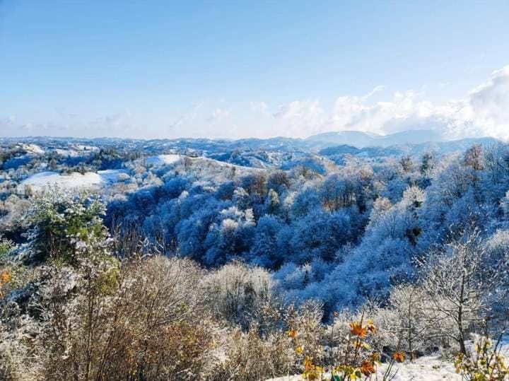 Natural landscape