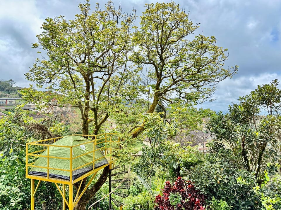 Natural landscape, Garden view