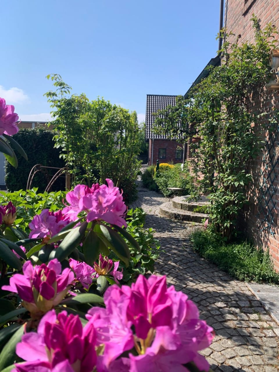Facade/entrance, Garden