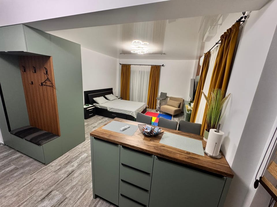 David Studio Apartment in Constanța County