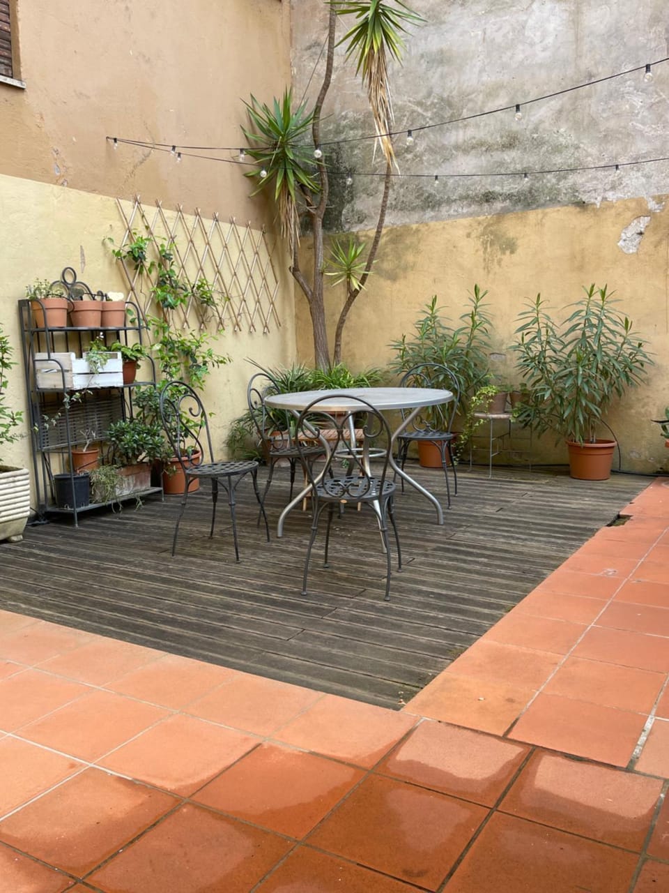 Patio, Garden, Garden