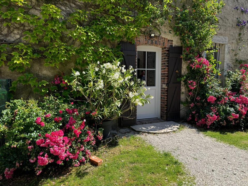 Property building, Facade/entrance, Garden