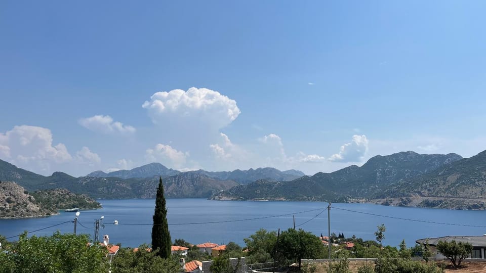 View (from property/room)