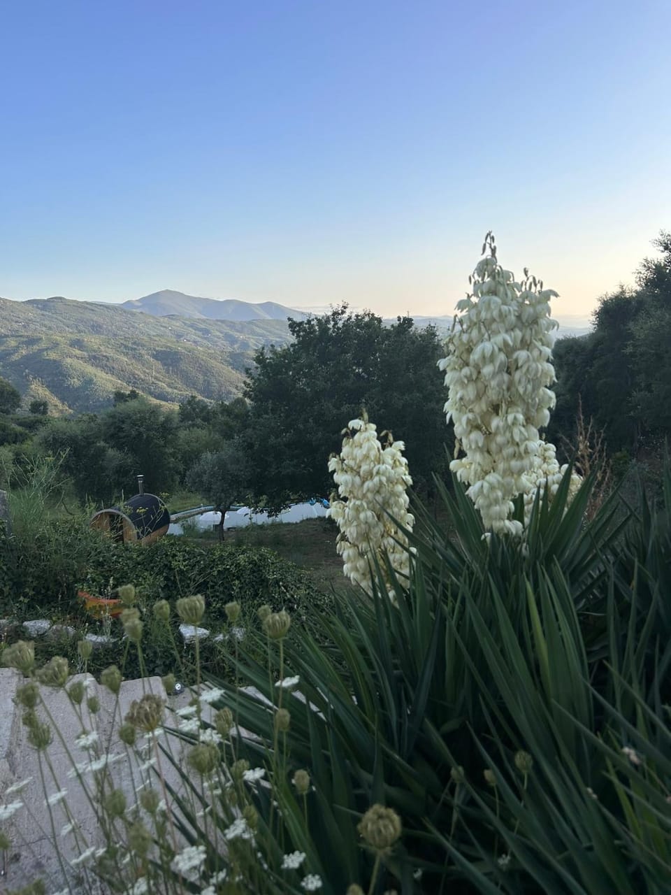 Alcmaria studio with amazing views at ZevariClub! Nature lodge in Coimbra District, Portugal