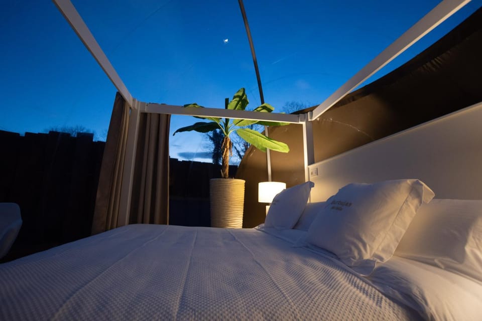 Bed, View (from property/room)