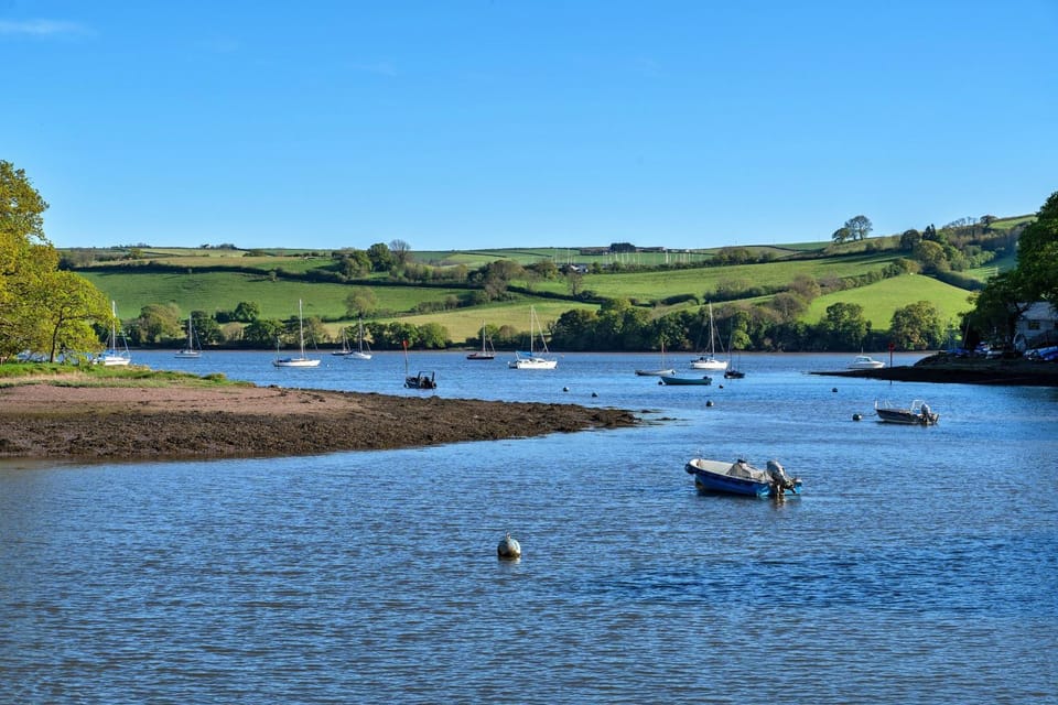 Patio, Garden, Garden view