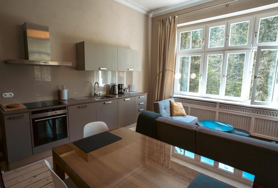 Kitchen or kitchenette, Living room, Seating area, Dining area, stove