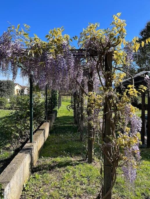 Natural landscape