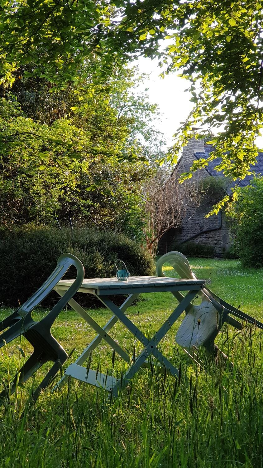 Day, Natural landscape, Garden, Garden view