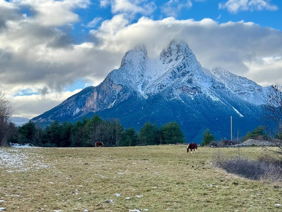 Mountain view