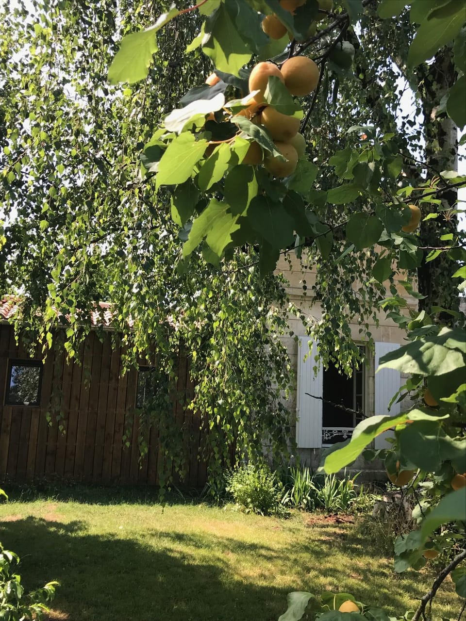 Property building, Garden, Garden, Garden view, Garden view