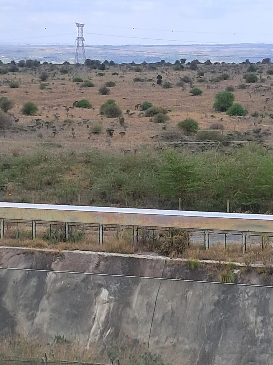 Natural landscape