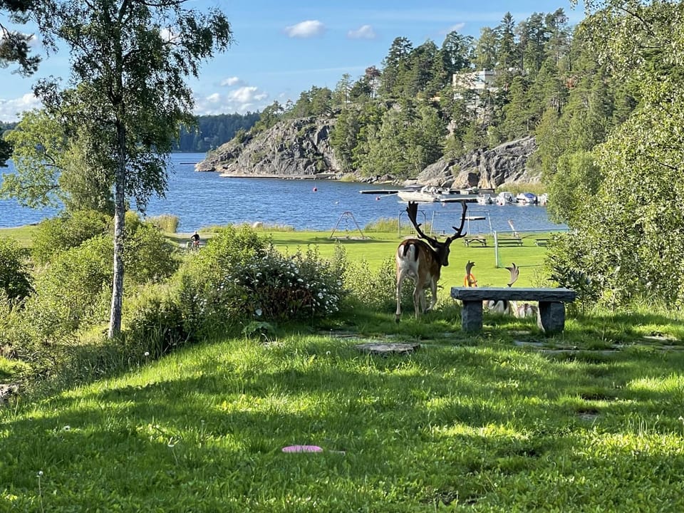 Seaside Serenity, Modern Family Retreat Villa in Stockholm County
