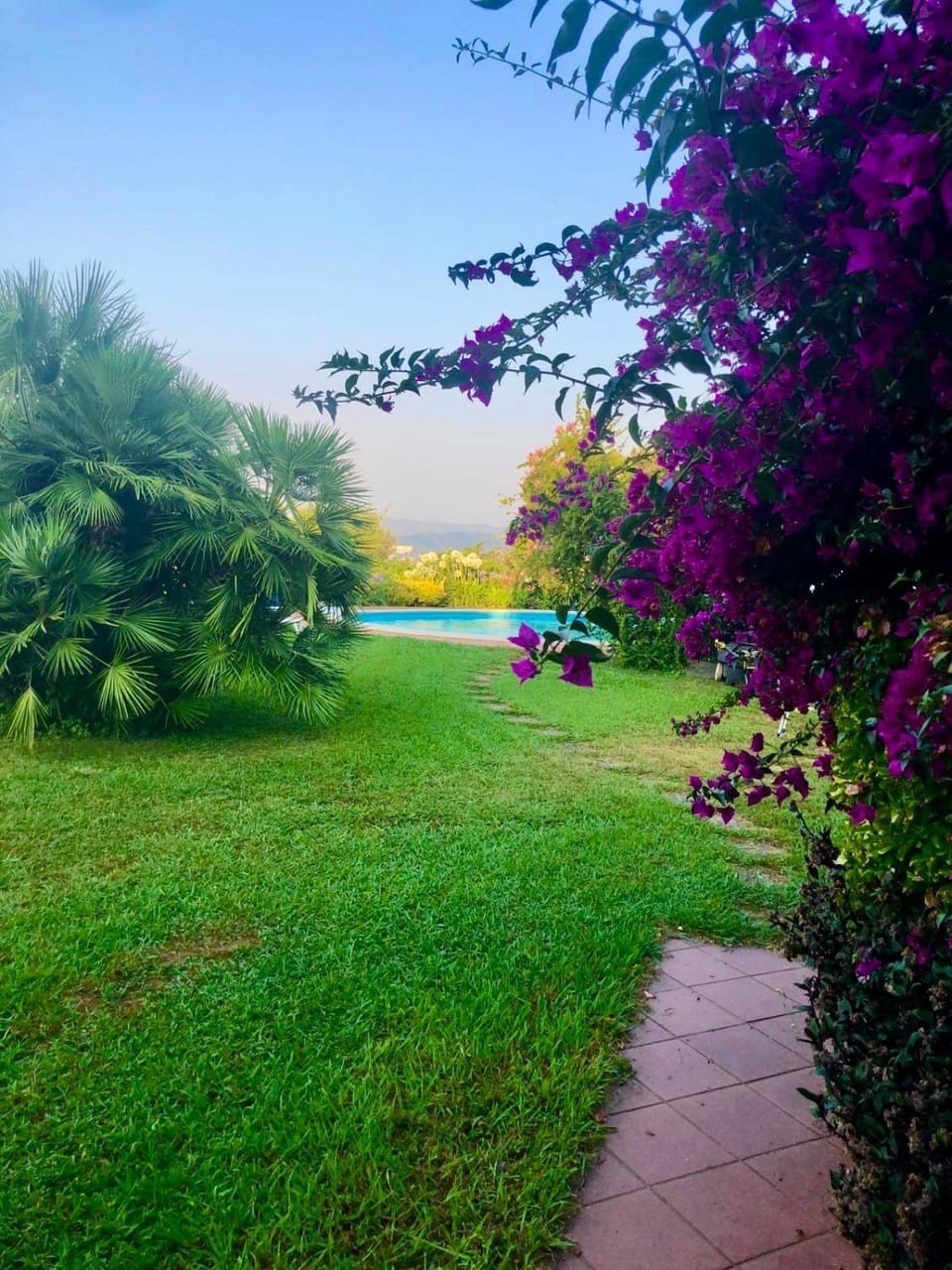 Garden, Swimming pool