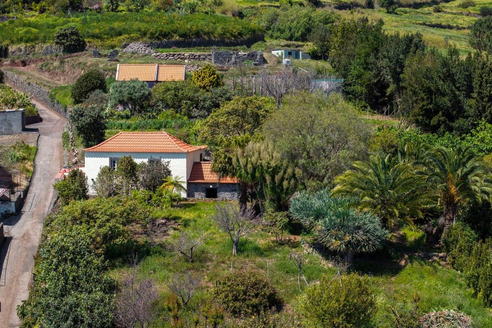 Property building, Day, Garden