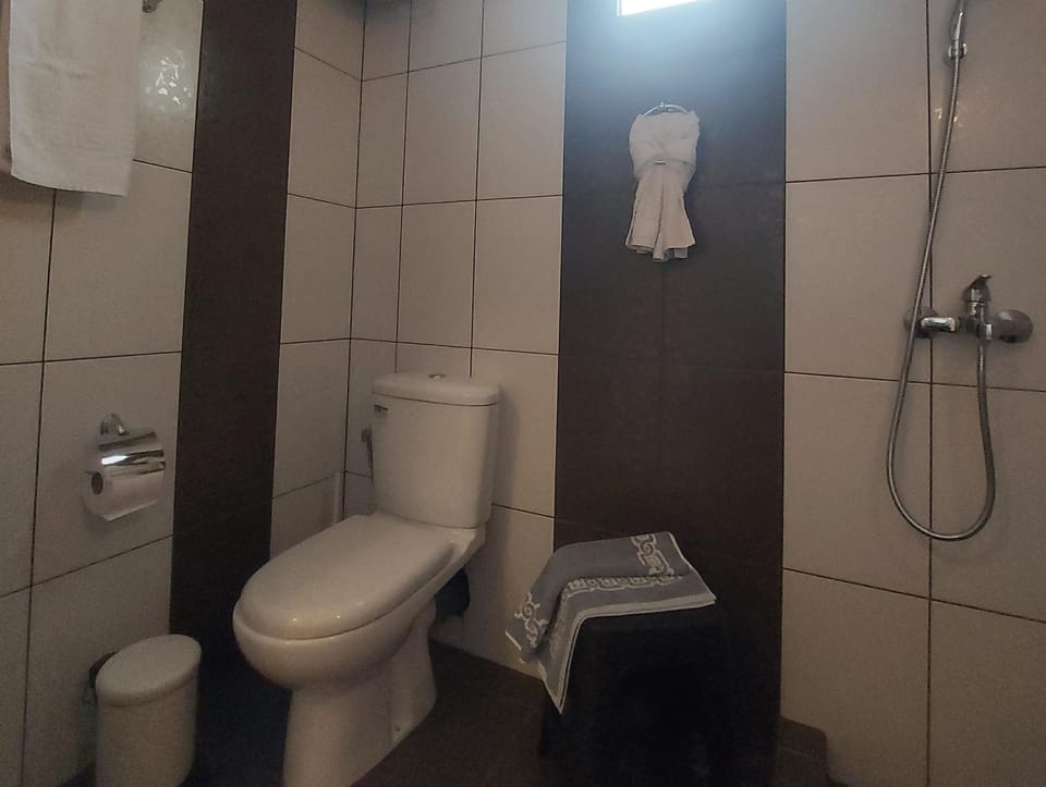 Shower, Toilet, towels
