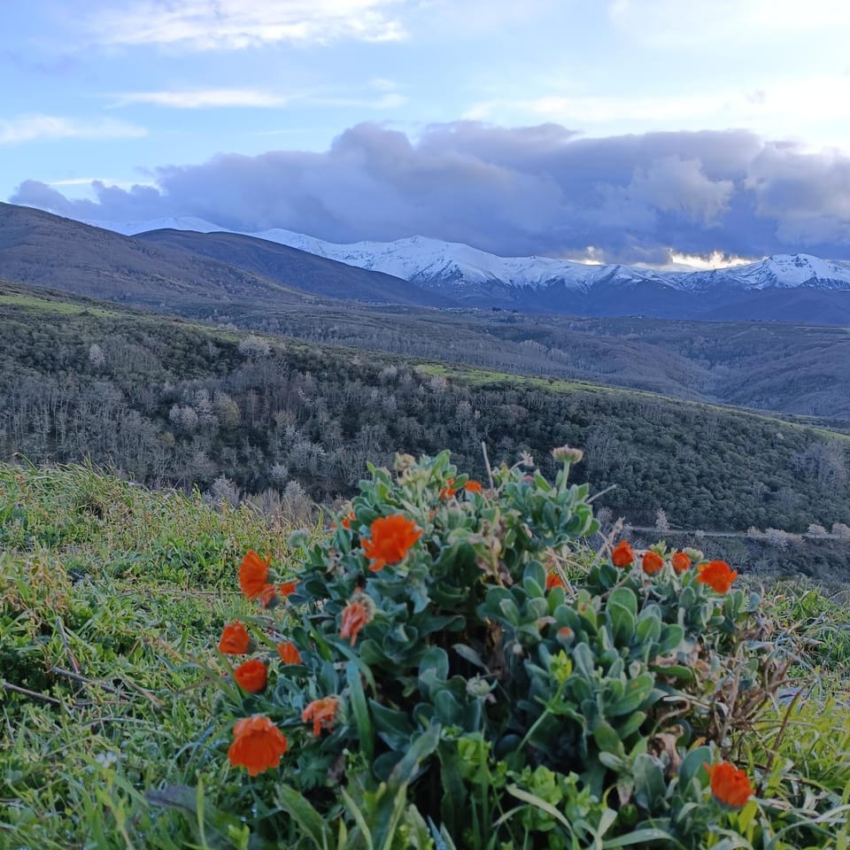 Mountain view