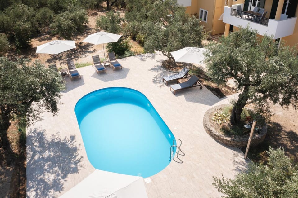 Day, Pool view, Swimming pool